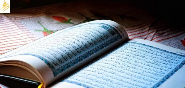 عجائب القرآن اللغوية